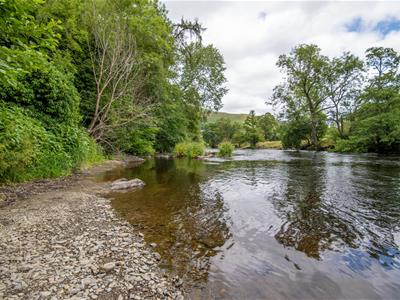 Picture 20